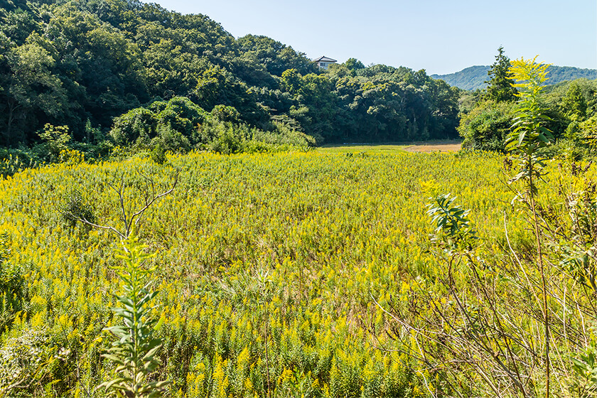 宅地開発<span>(分譲)</span>